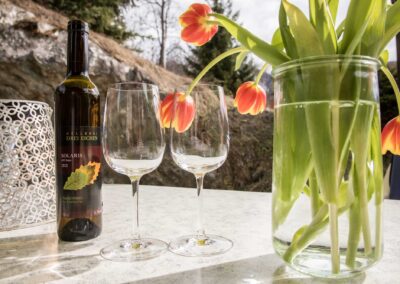 Fiesch - Chalet Annabelle - Ferienwohnung 5-Zimmer - Obergeschoss - Terrasse