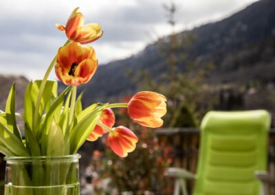 Fiesch - Chalet Annabelle - Ferienwohnung 5-Zimmer - Obergeschoss - Terrasse